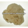 Cashmere Wool Fibre Dehaired Light Grey